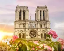 多特蒙德01勒沃库森